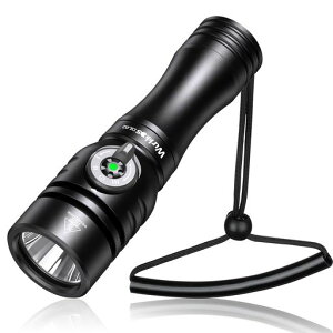 Wurkkos DL02 �_�C�r���O���C�g IPX8 ����100���[�g������g�p LED�������C�g 3000���[���� ���P�x 496�ĉ��� �i�C�g�_�C�r���O �g�[�` �d�͗ʕ\�� �h���@�\ �����d�� ��]�����C�X�C�b�`�t��)