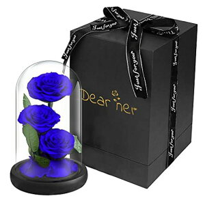 LuckystarBeautyandTheBeastRose{̃oŎۑԁA͂ȂԁAỉԁA3ցAKXMtg{bNXvU[uht[A̓ALOv[gAAo^CAc