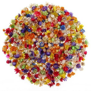 hCt[Wp400艟ԃ}`J[zOp[cԍފV[gDIYEANZT[Eʐ^Bep