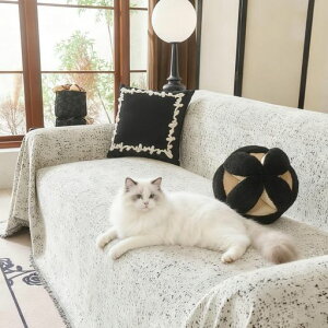 A[gXvb^[eNX`[\t@[Jo[_炩ɗDėp\t@hoی}`Jo[Jo[O[180x230cm\t@[Jo[2l|