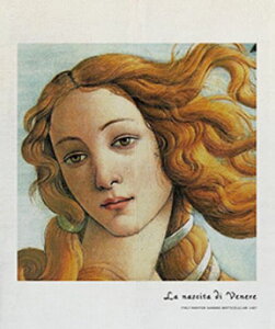 ̂񂨂gԎd؂J[e֖ډB̂؍CNLb`o䏊CeAς_t[B킢141x79.5cm(E)