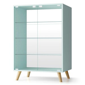 OSJtBMAP[XWP[X`FXgRNVP[X60*s43*88CM4i߉\O[CheʃRNVVFtKXfBXvCLrlbgKX