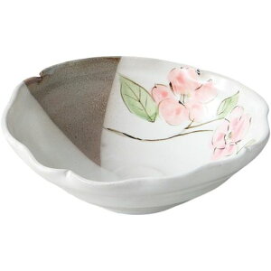 G[lbg(Ale-net){E傫MW17.7xD16.4xH6cmsNւЂ˂蔫ĐyZē{