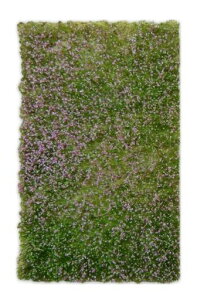 O[X^bt[hWI}fގŃ}bgJbgŎ̉Ԃ炢qnzr[pfGSWD-10342