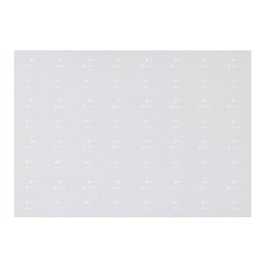 {[Vt@Ng[NQ[WLn20n񏊑C^66660