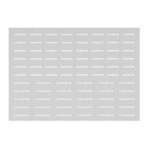 {[Vt@Ng[NQ[WݎԏwC^636534