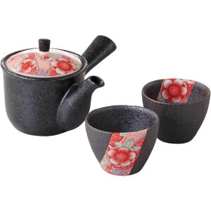 G[lbg(Ale-net)}{ۃZbgyAےtFT}{250ccZ