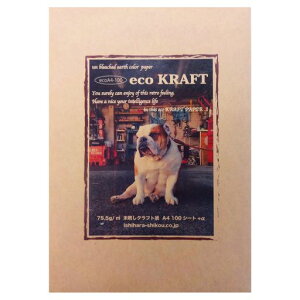 ΌHNtgA4100GRNtgecoA4-100