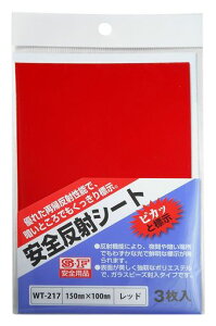 aCYƈS˃V[gSt100X150mmԎԕWWT-2173