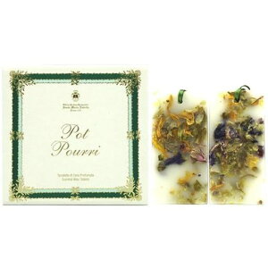 T^}AmFbSantaMariaNovella^{b^|v2