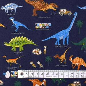 COLORFULTEXTILEMARKET!T!嗤(XPA[nElCr[)XPA[n110cmx100cmD00H2910