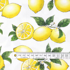 COLORFULTEXTILEMARKETVgX(CNWFbgIbNX)IbNXn110cmx100cmD00G2710