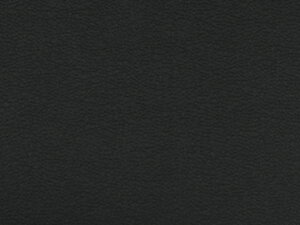 CV[g11cmx20cmǂLтV[^Cv{(ubN)