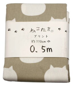 g˂ܔzJbgNX50cmNTSC8E