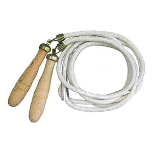 griqWjANpNpWsO[v16ŉ]