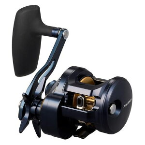 _C(DAIWA)WMOxCg[SALTIGA(\eBK)300H