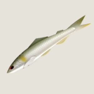 JcC`(KATSUICHI)A[BabyREAYUREAYU105SCG[