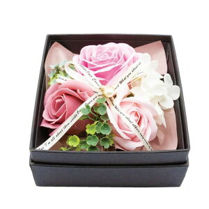 pZIԕ{bNX\[vt[PKTCY:W13D13H11SP-54PK