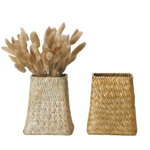 ̃re[WV[OXDt[oXPbg2Zbg?t[AWgz[fR[Vp̑fpȑoXPbg.