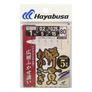 �n���u�T(Hayabusa)�u�т킩�����H�c�L�c�l�L�w�t�J�Z5�{C2601-0.2
