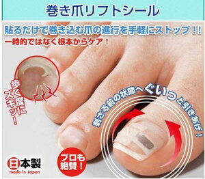 t@~[ECtܕی슪܃tgV[8