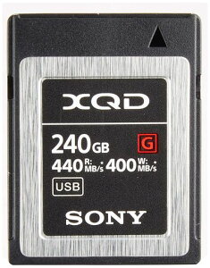 �\�j�[ XQD�������[�J�[�h 240GB QD-G240F