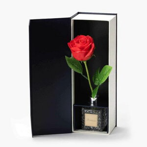 Q-FLA(L[t)BathFragrance(oXEtOX)Ԃ̌`̓܃ov~AA}[Ybhp{bNXEobOEbZ[WJ[h4EKXx[Xt