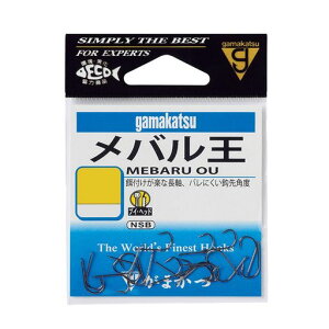 ܂(Gamakatsu)o(NSB)8