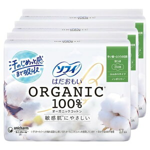 \tBSofy͂I[KjbNRbgӂ̓pH21cm17Rx3pbN(51R)(piivL)