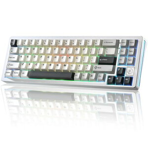 YUNZII AL71 ���J�j�J���L�[�{�[�h 68% �R���p�N�g �t���A���~CNC���H �K�X�P�b�g�\�� [Bluetooth/2.4G/USB-C �O���[�h�ڑ�] �z�b�g�X���b�v�Ή� NKRO RGB�o�b�N���C�g Win/Mac���Ή� �Z�K�F�؍ς�