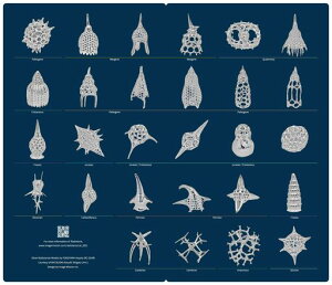 C[W~bV؋ЕU}XNP[XCFMR001