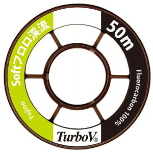 Fujino(tWm)C^[{V\tgtk50m0.175