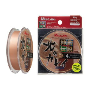 T[iCtJ[{CoJޓ`k̃JC30m10uE