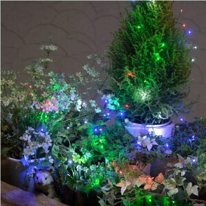 ^JV[drLEDNX^[60zCgLGB-CL60W