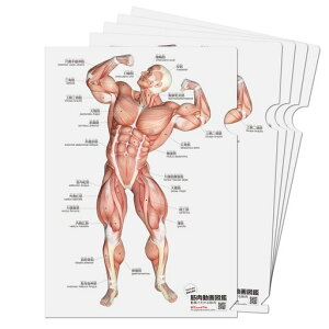 ؓƁu؎Y̋؃NAt@C5ZbgvA4TCYʃJ[