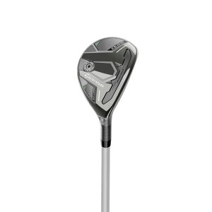 �e�[���[���C�h(TAYLORMADE)Qi35MAXLITEWo#5ELDIOTM40A�L���[�A�C�T�[�e�B�t�@�C�u�}�b�N�X���C�g�E�B�����Y���X�L���[���f�B�[�X�t���b�N�X:A�Ԏ�:#5RH�V���t�g:2025ELDIO