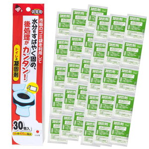 y{zTR[pЊQpȈՃgCsLv~gіhЎ֗pÌō30ۑRB-13