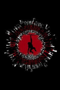 MONKEYEXPLOSIONEFFECT:journallined120pages6x9inchesmattefinishcovernotebookdiarygiftnobleed