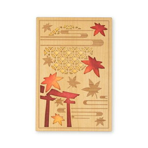 Crucial(�N���[�V����)���󒠁u�g�t�v24129CMO