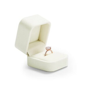 OirlvwփP[XOP[Xxxbg1p^у~jv|[YLOv[gȂǂɓKMtgP[XH04501(zCg)