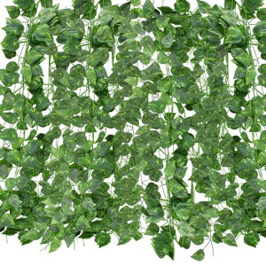 BacucinelHϗtAtFCNO[|gX36{ZbgԃO[2.1m݂艺Ǌ|݂邵ϗtACeAK[fjOADIY͂ȂgClCEFfBO