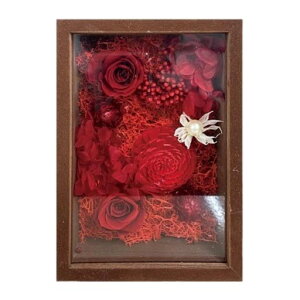 L[t(Q-FLA)AW{bNXt[vU[uht[uEbh̓Mtg蕨813320