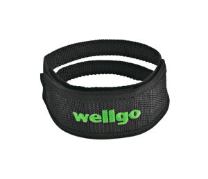 EFS(wellgo)y_XgbvubN