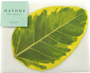 ngl(Hatone)(4S05X)^[ZbgtBJXEAeV[}8701