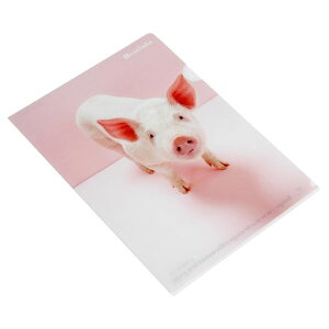 etranger(GgWF)A4NAz_[ʐ^V[Y(܂Ƃߔ)10ZbgNAt@CԂqBestiolaA40001-BTL-32-17-10