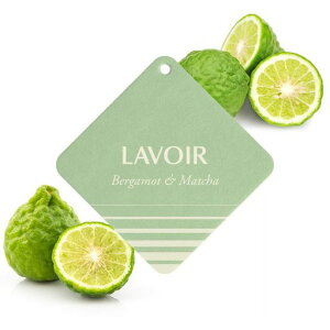 LAVOIRuAtOX^OxKbg&ԗpF܃J[tOX^O1݂艺^F