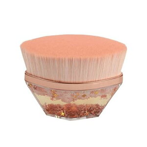 x_@t@f[VuV@\CNuVAt@ɓKpAgю[P[Xt(sN)