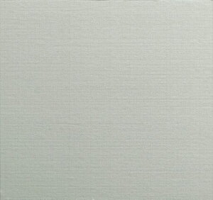 �A�T�q�y���ǎ�D-kabegami���̂�t����92cmx����2.5mDKN-209�O���[�W���ǎ��̏�ɒ��ړ\���I�V�����ȕ��͗l�ւ��h�J�r���H�V�b�N�n�E�X�΍��i���{��