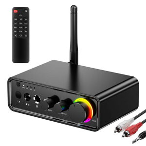 BluetoothAv5.3p[Av2.0`l100Wx2TPA3116D2NXDfW^Av^I[fBIAvDSPቹRg[RGBCgRCA//̓Xs[J[p