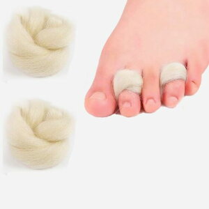 2pbNwT|[^[E[w܃T|[^[炩یLbvw̏wی